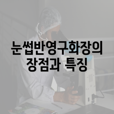 눈썹반영구화장의 장점과 특징