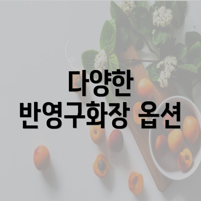 다양한 반영구화장 옵션