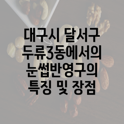 대구시 달서구 두류3동에서의 눈썹반영구의 특징 및 장점