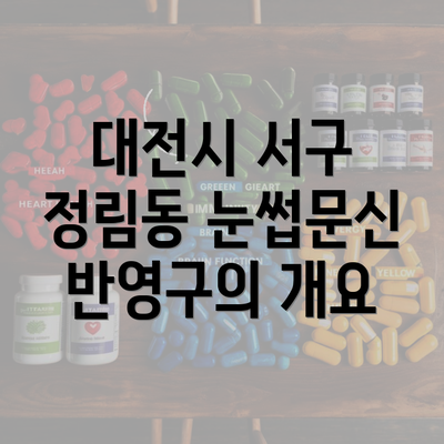 대전시 서구 정림동 눈썹문신 반영구의 개요