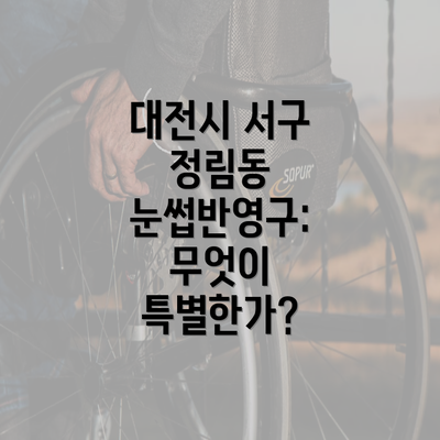 대전시 서구 정림동 눈썹반영구: 무엇이 특별한가?