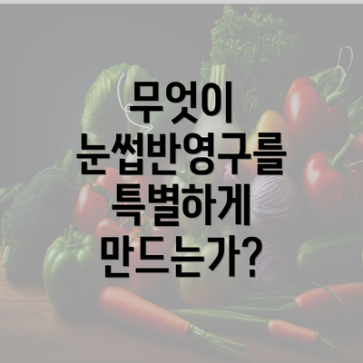 무엇이 눈썹반영구를 특별하게 만드는가?