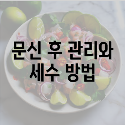 문신 후 관리와 세수 방법