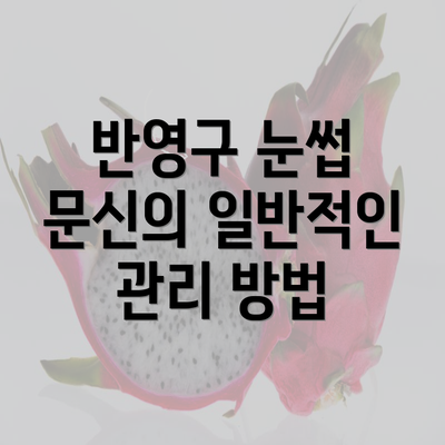 반영구 눈썹 문신의 일반적인 관리 방법