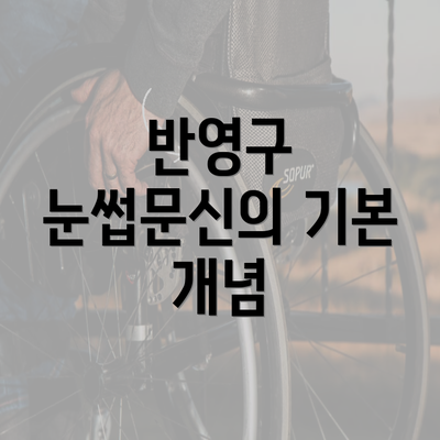 반영구 눈썹문신의 기본 개념