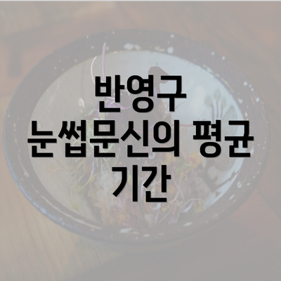 반영구 눈썹문신의 평균 기간