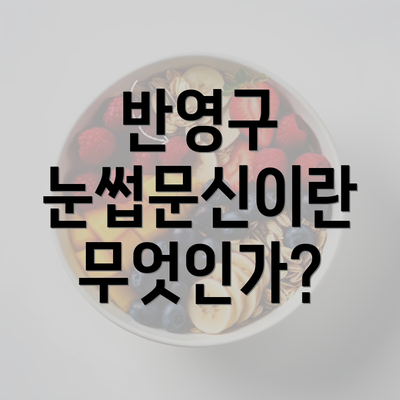 반영구 눈썹문신이란 무엇인가?