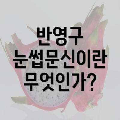 반영구 눈썹문신이란 무엇인가?