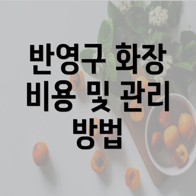 반영구 화장 비용 및 관리 방법