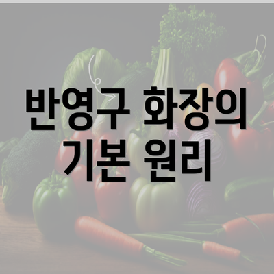 반영구 화장의 기본 원리