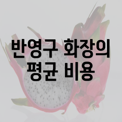 반영구 화장의 평균 비용