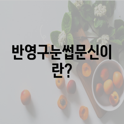 반영구눈썹문신이란?