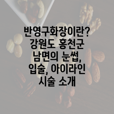 반영구화장이란? 강원도 홍천군 남면의 눈썹, 입술, 아이라인 시술 소개