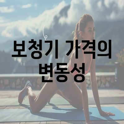 보청기 가격의 변동성