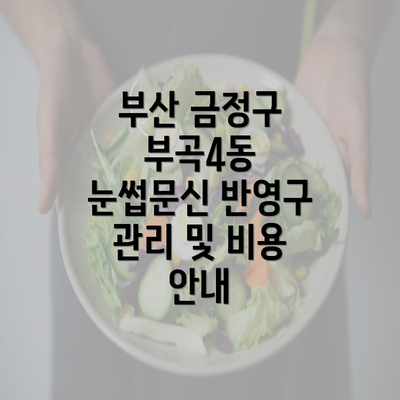 부산 금정구 부곡4동 눈썹문신 반영구 관리 및 비용 안내