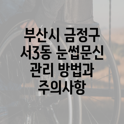 부산시 금정구 서3동 눈썹문신 관리 방법과 주의사항