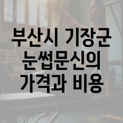 부산시 기장군 눈썹문신의 가격과 비용