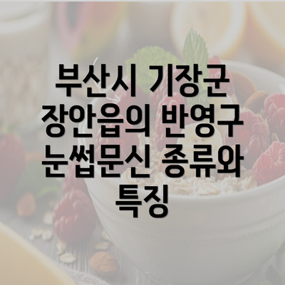 부산시 기장군 장안읍의 반영구 눈썹문신 종류와 특징