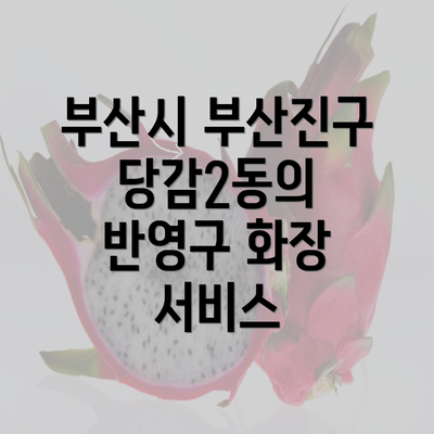 부산시 부산진구 당감2동의 반영구 화장 서비스