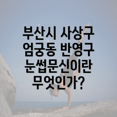 부산시 사상구 엄궁동 반영구 눈썹문신이란 무엇인가?