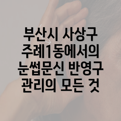 부산시 사상구 주례1동에서의 눈썹문신 반영구 관리의 모든 것