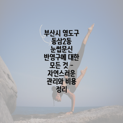 부산시 영도구 동삼2동 눈썹문신 반영구에 대한 모든 것 - 자연스러운 관리와 비용 정리