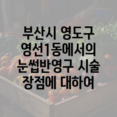 부산시 영도구 영선1동에서의 눈썹반영구 시술 장점에 대하여