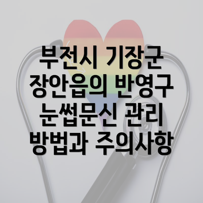 부전시 기장군 장안읍의 반영구 눈썹문신 관리 방법과 주의사항