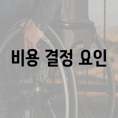 비용 결정 요인