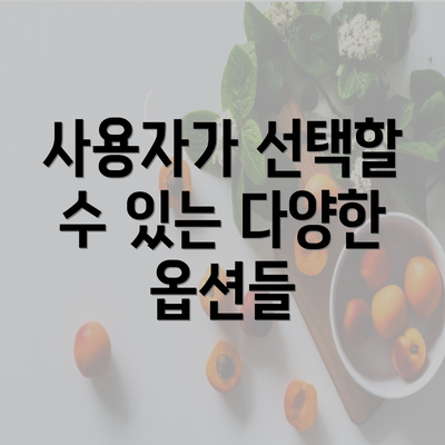 사용자가 선택할 수 있는 다양한 옵션들