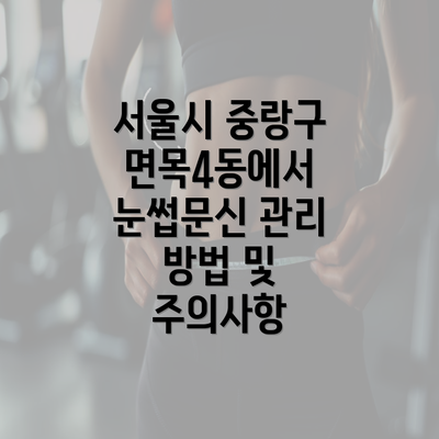 서울시 중랑구 면목4동에서 눈썹문신 반영구 웰빙의 선택