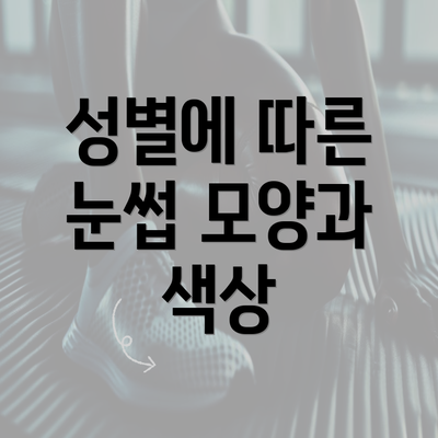 성별에 따른 눈썹 모양과 색상