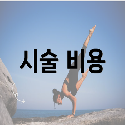 시술 비용