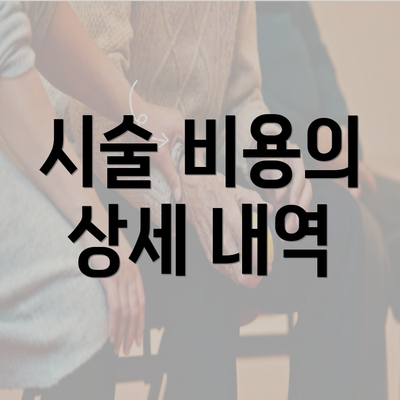 시술 비용의 상세 내역