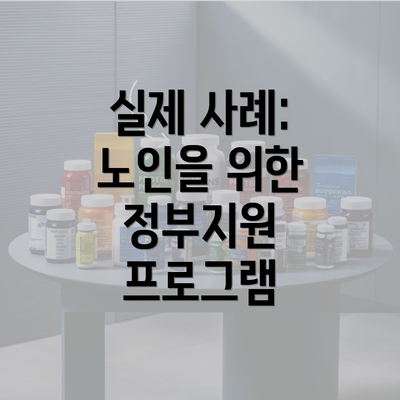 실제 사례: 노인을 위한 정부지원 프로그램