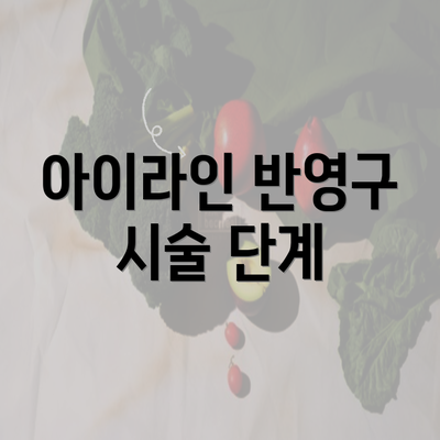 아이라인 반영구 시술 단계