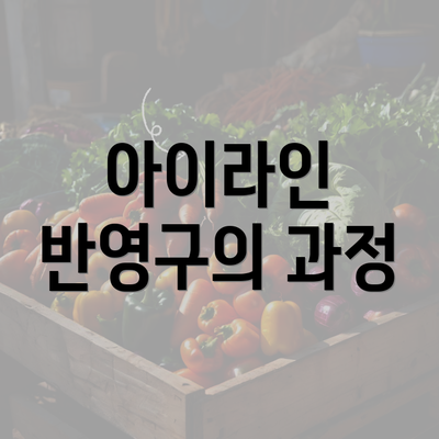 아이라인 반영구의 과정