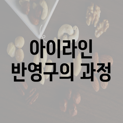 아이라인 반영구의 과정