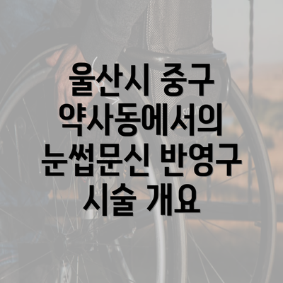 울산시 중구 약사동에서의 눈썹문신 반영구 시술 개요