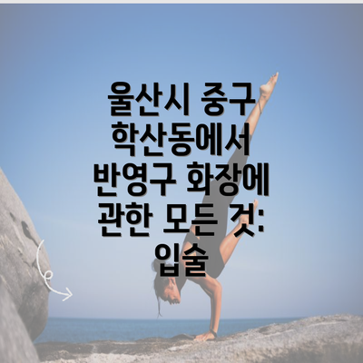 울산시 중구 학산동에서 반영구 화장에 관한 모든 것: 입술