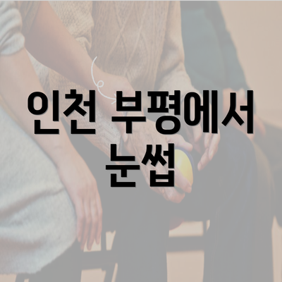 인천 부평에서 눈썹