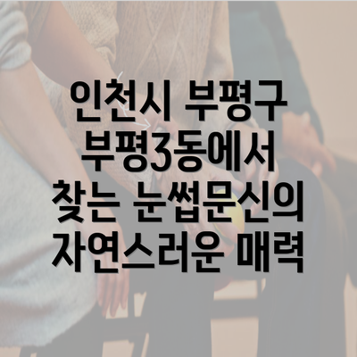 인천시 부평구 부평3동에서 찾는 눈썹문신의 자연스러운 매력