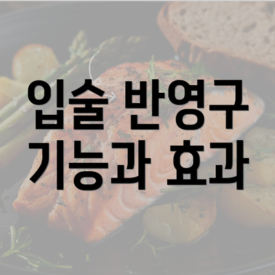 입술 반영구 기능과 효과