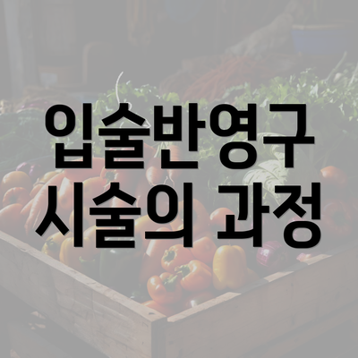 입술반영구 시술의 과정