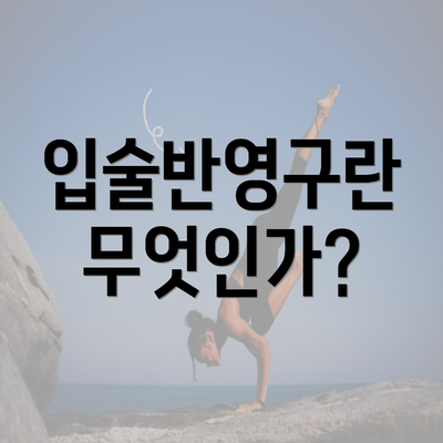 입술반영구란 무엇인가?