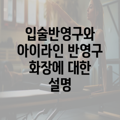 입술반영구와 아이라인 반영구 화장에 대한 설명