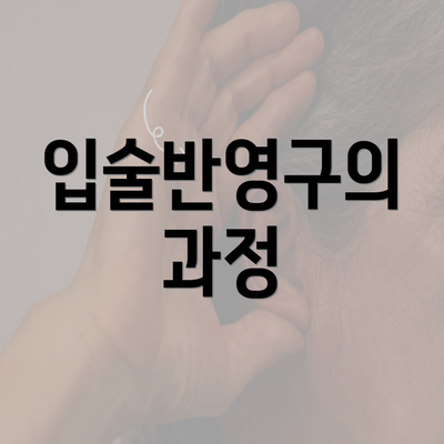 입술반영구의 과정