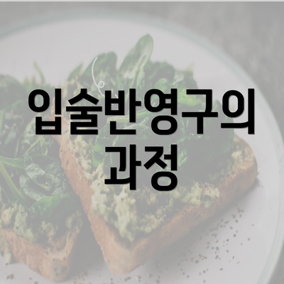 입술반영구의 과정