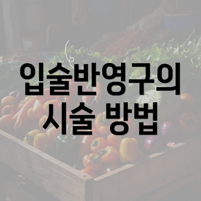 입술반영구의 시술 방법