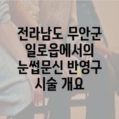 전라남도 무안군 일로읍에서의 눈썹문신 반영구 시술 개요